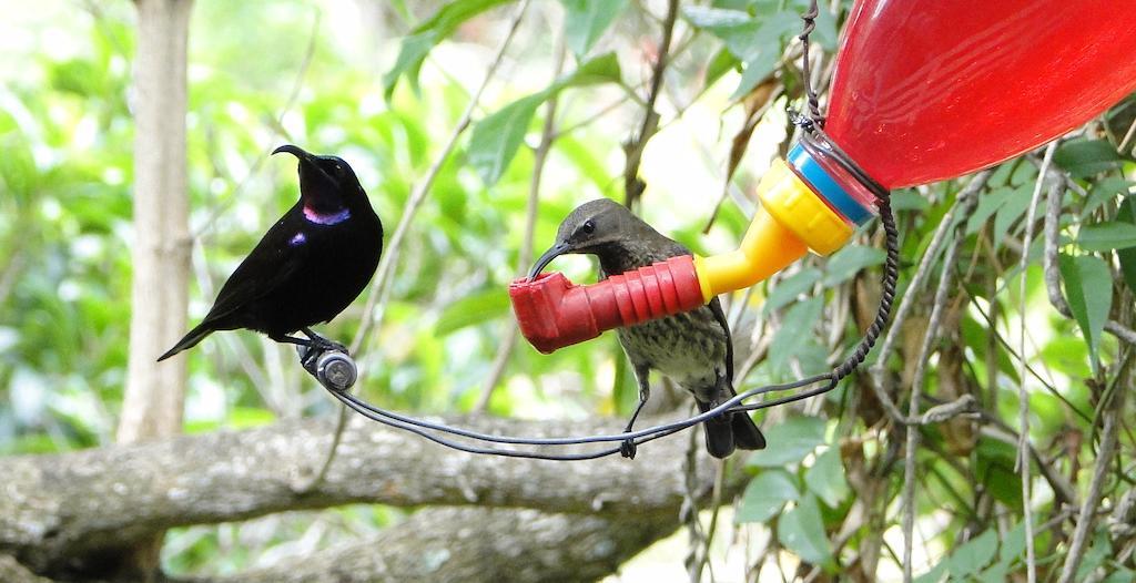 Kingfisher Country House ワイルダーネス エクステリア 写真